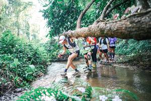 BIB: 
                            <button type="button" onclick="openModal(25457825)" class="btn btn-primary btn-sm float-right btn-popup" data-toggle="modal" data-target=".modal-high-quality">
                        <i class="fas fa-shopping-cart"></i> Add to Cart
                    </button>
                                            <button type="button" onclick="isThisMe(25457825, true)" class="btn btn-success btn-sm float-right btn-popup btn-isme hidden" data-toggle="tooltip" data-placement="bottom" title="นี่คือรูปของคุณใช่ไหม คลิกที่นี่เพื่อเอาเข้าอัลบั้ม">
                        <i class="fas fa-plus"></i> Add to album
                    </button>
                    <button type="button" onclick="isThisMe(25457825, false)" class="btn btn-warning btn-sm float-right btn-popup btn-isnotme hidden">
                        <i class="fas fa-ban"></i> Remove from album
                    </button>